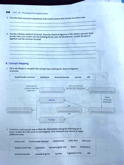 SOLVED 598 UNIT 29Physiology of the Digestive System digestion and