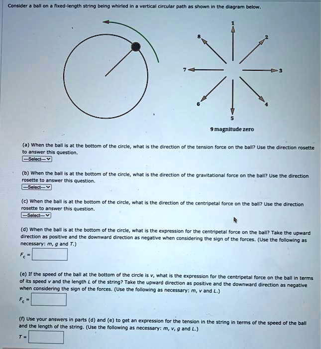 Solved Consider Iball On Fixed Length String Belng Hniried Yertcalcirular Ehalatn Dladrum Delow 9 Magnitude Zero 0 When The Ball Is At The Bottom The Circle What Is Thc Dlrection Tha Tension Force