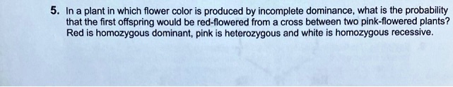 5. In a plant in which flower color is produced by incomplete dominance, what is the probability that the first offspring would be red-flowered from a cross between two pink-flowered plants? Red is homozygous dominant, pink is heterozygous and white is homozygous recessive.
