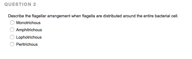 Describe the flagellar arrangement when flagella are distributed around the entire bacterial cell.
Monotrichous
Amphitrichous
Lophotrichous
Peritrichous