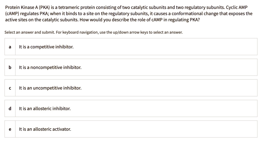 SOLVED Protein Kinase A (PKA) is a tetrameric protein consisting of