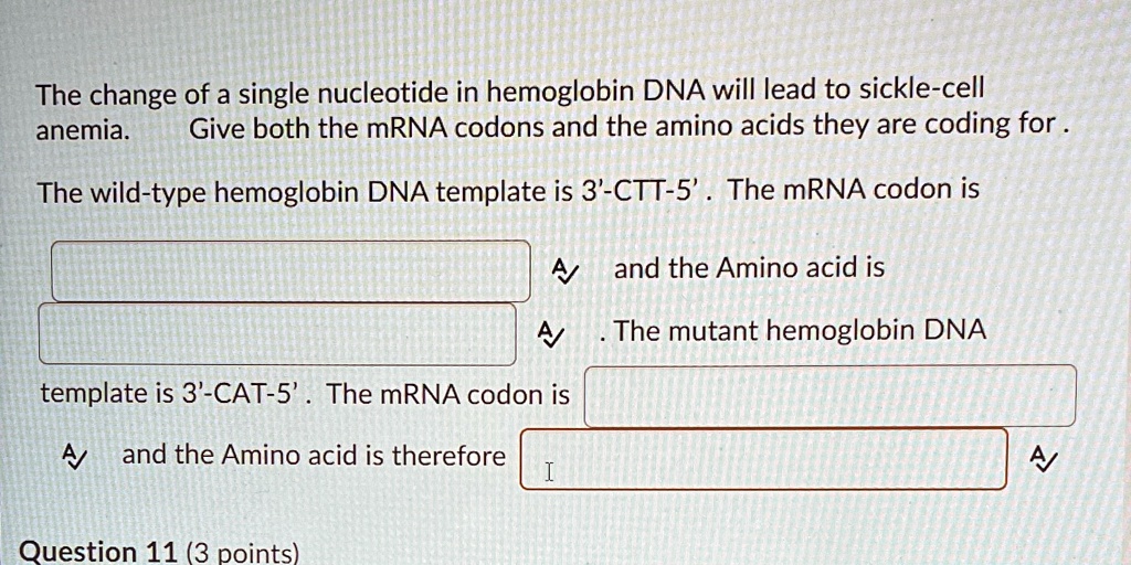 SOLVED "The change of a single nucleotide in hemoglobin DNA will lead to sicklecell anemia