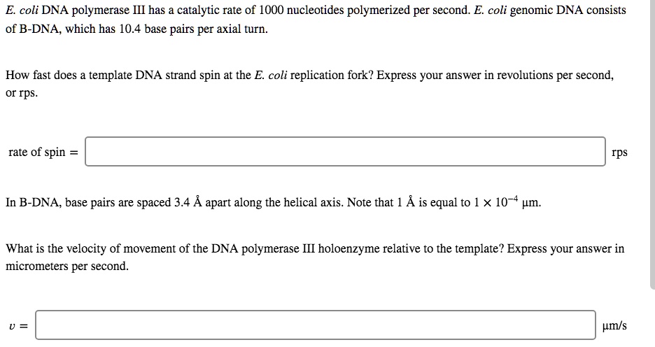 E. coli DNA polymerase III has a catalytic rate of 1000 nucleotides polymerized per second. E. coli genomic DNA consists
of B-DNA, which has 10.4 base pairs per axial turn.

How fast does a template DNA strand spin at the E. coli replication fork? Express your answer in revolutions per second,
or rps.

rate of spin =
rps

In B-DNA, base pairs are spaced 3.4 ? apart along the helical axis. Note that 1 ? is equal to 1    times; 10?? ?m.

What is the velocity of movement of the DNA polymerase III holoenzyme relative to the template? Express your answer in
micrometers per second.

v =
?m/s