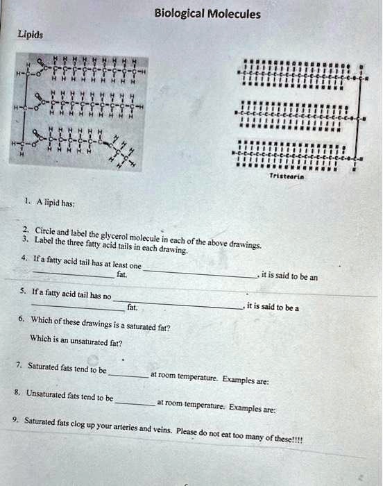 SOLVED Texts Biological Molecules Lipids 1. A lipid has 2. Circle