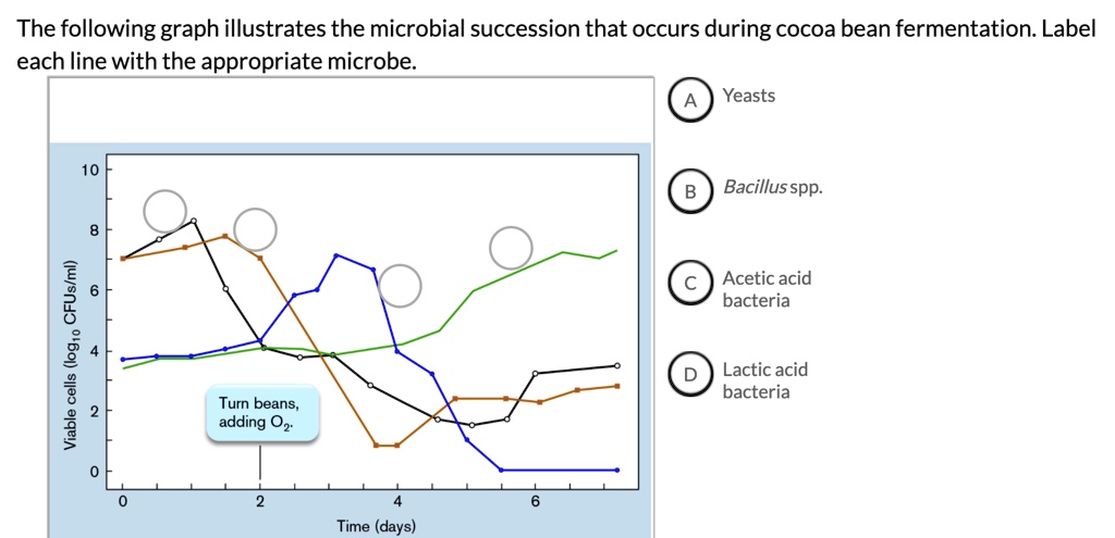 SOLVED: The following graph illustrates the microbial succession that ...