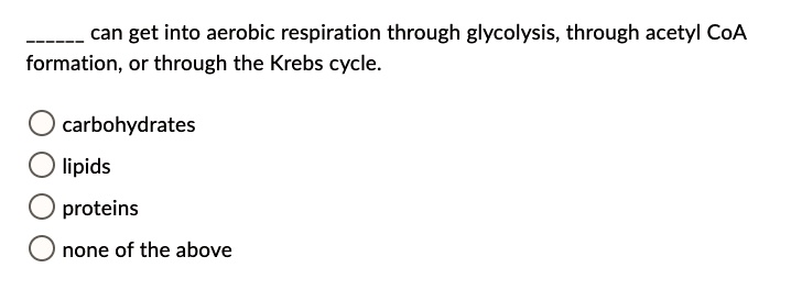  can get into aerobic respiration through glycolysis, through acetyl CoA formation, or through the Krebs cycle.
carbohydrates
lipids
proteins
none of the above