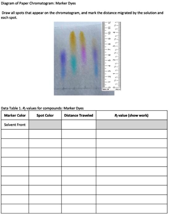SOLVED Diagram of Paper Chromatogram Marker Dyes Draw all spots that