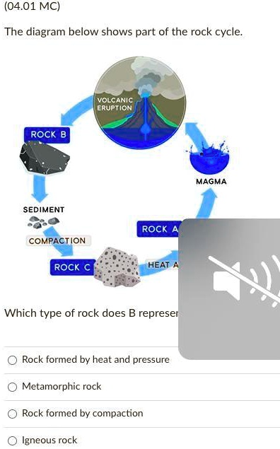 SOLVED: 'Help Needed ASAP Look At The Picture (04.01 MC) The Diagram ...