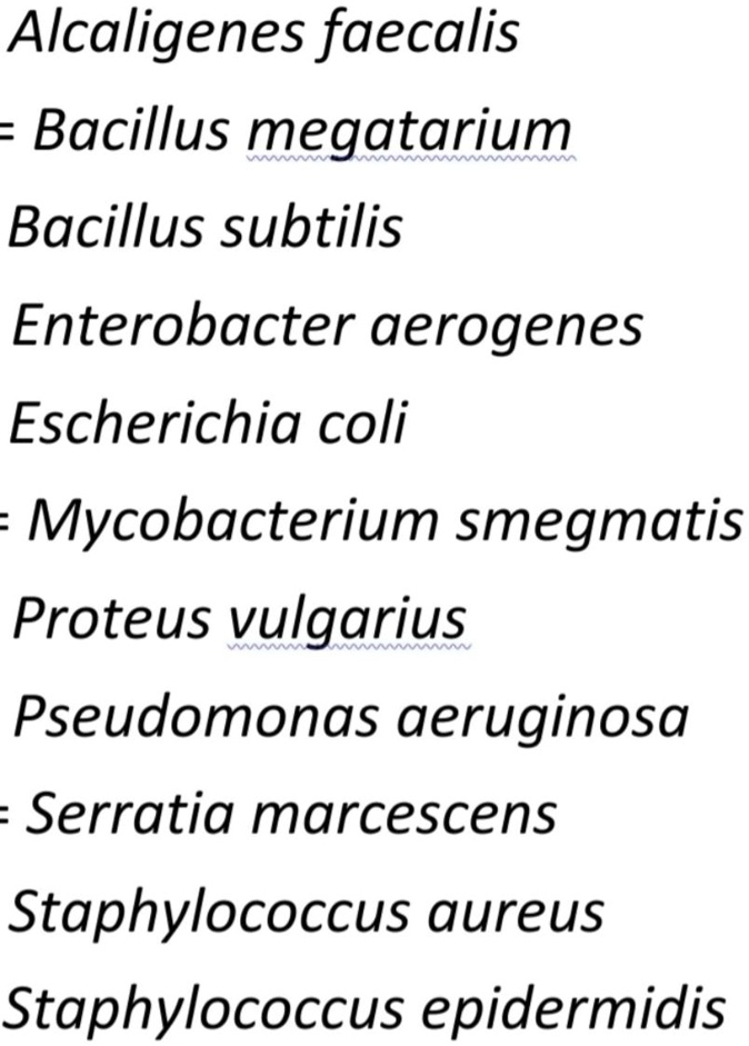 SOLVED: Create a dichotomous key chart using the above bacteria: 1 ...