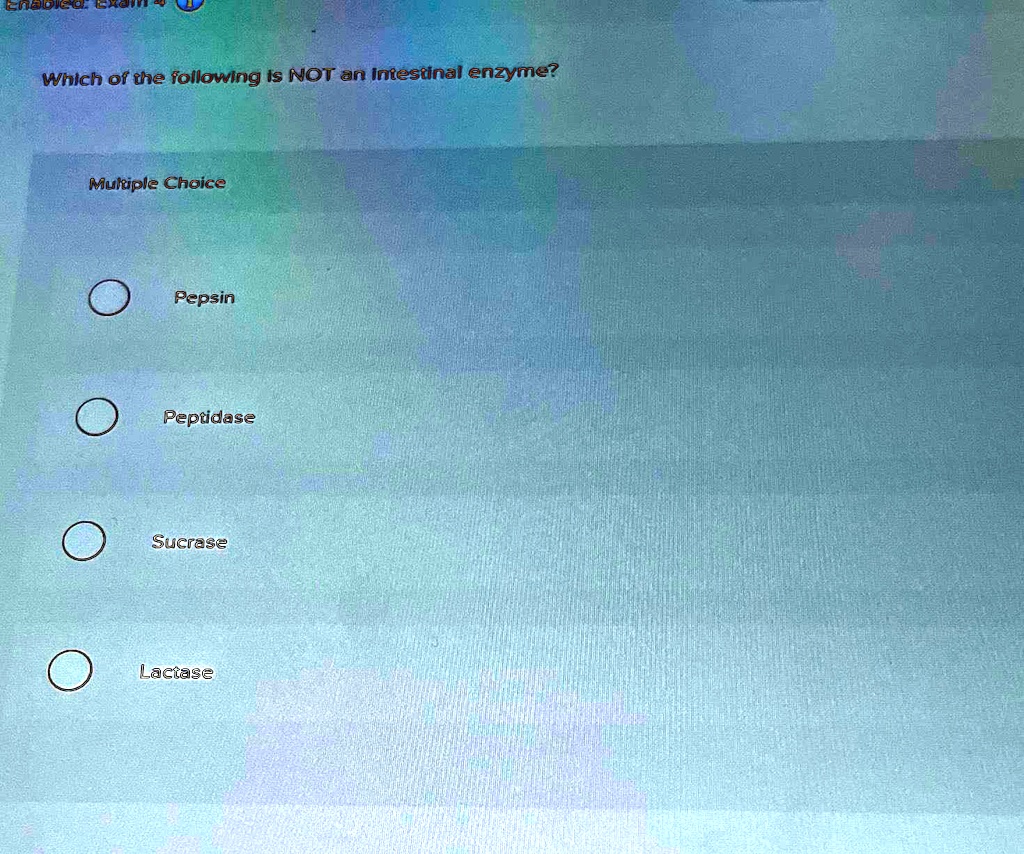 SOLVED Which of the following is NOT an intestinal enzyme? Multiple
