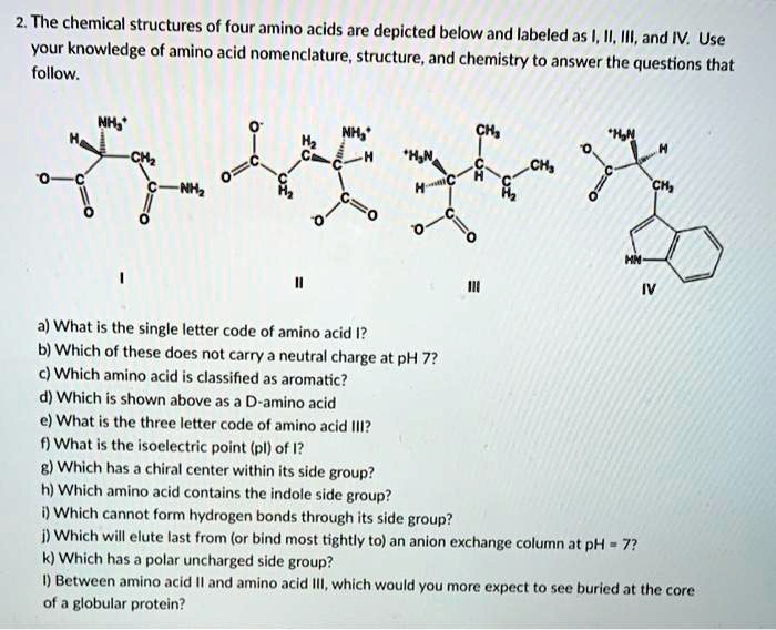 SOLVED2 The chemical structures of four amino acids are depicted below and labeled as /,//, III