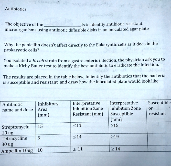 Solved Antibiotics The Objective Ofthe Is To Identify Antibiotic Resistant Microorganisms Using