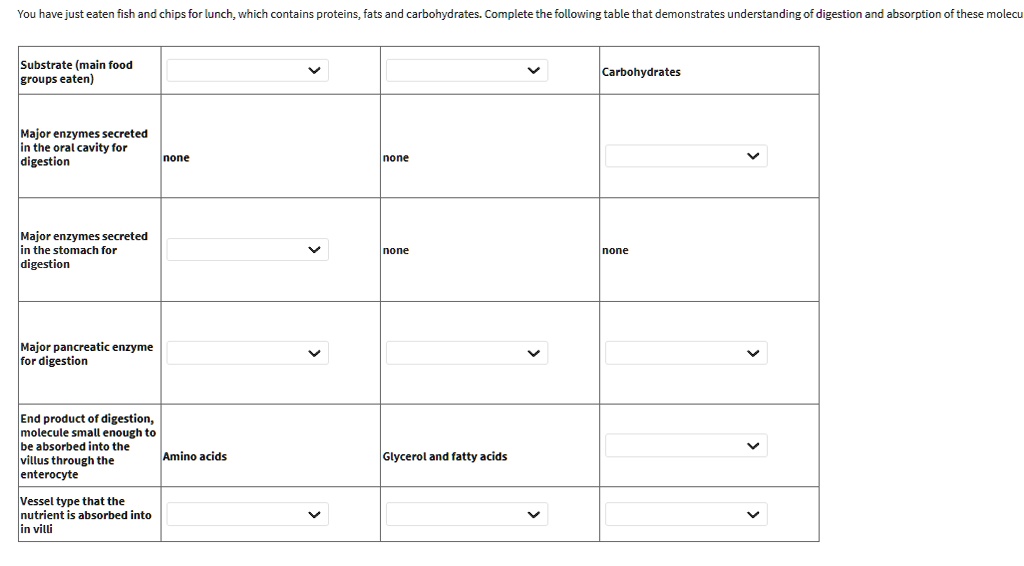 SOLVED pepsin, lacteal,fats, capillary, glycerol and fatty acids