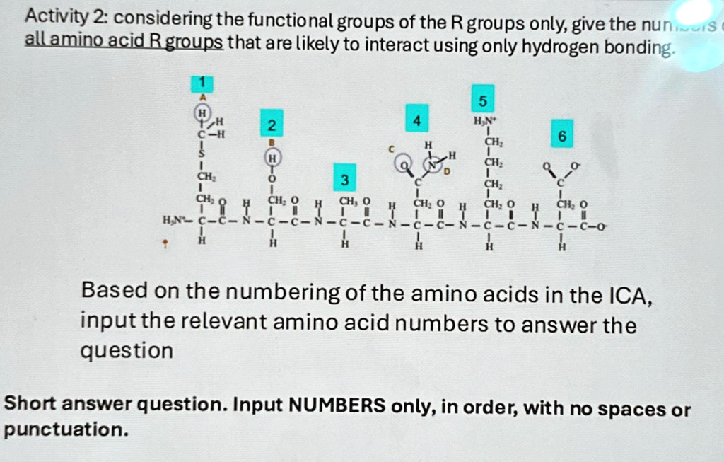 SOLVED: Activity 2: considering the functional groups of the R groups ...