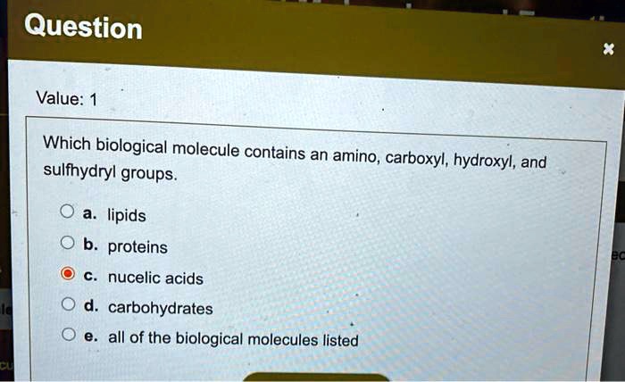 Which biological molecule contains an amino, carboxyl, hydroxyl, and sulfhydryl groups.

a. lipids
b. proteins
c. nucelic acids
d. carbohydrates
e. all of the biological molecules listed