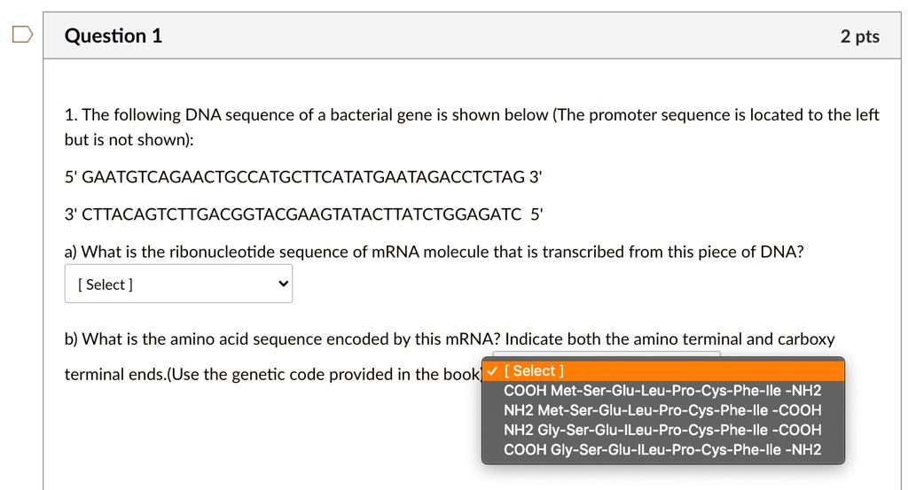 question 1 2 pts 1 the following dna sequence of a bacterial gene is ...