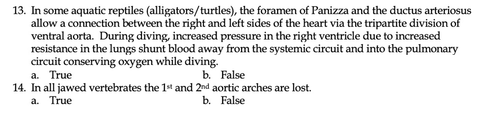 SOLVED: In some aquatic reptiles (alligators/turtles), the foramen of