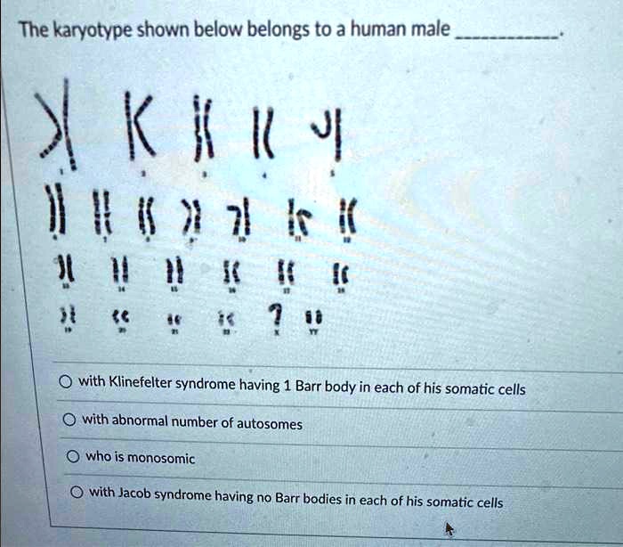 Male With Klinefelter Syndrome