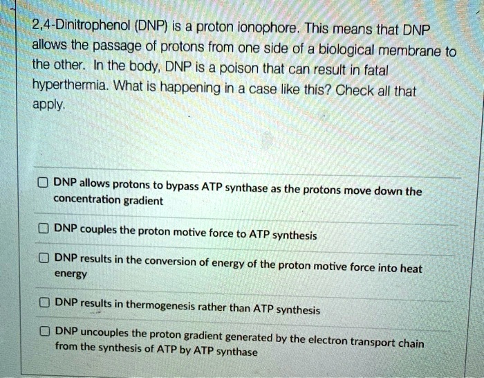 2,4-Dinitrophenol (DNP) is a proton ionophore. This means that DNP allows the passage of protons from one side of a biological membrane to the other. In the body, DNP is a poison that can result in fatal hyperthermia. What is happening in a case like this? Check all that apply.

DNP allows protons to bypass ATP synthase as the protons move down the concentration gradient
DNP couples the proton motive force to ATP synthesis
DNP results in the conversion of energy of the proton motive force into heat energy
DNP results in thermogenesis rather than ATP synthesis
DNP uncouples the proton gradient generated by the electron transport chain from the synthesis of ATP by ATP synthase