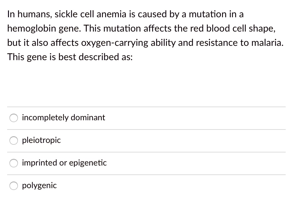 In humans, sickle cell anemia is caused by a mutation in a hemoglobin gene. This mutation affects the red blood cell shape, but it also affects oxygen-carrying ability and resistance to malaria. This gene is best described as:
incompletely dominant
pleiotropic
imprinted or epigenetic
polygenic