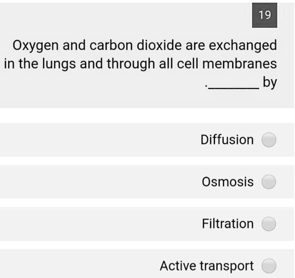 SOLVED 19 Oxygen and carbon dioxide are exchanged in the lungs and