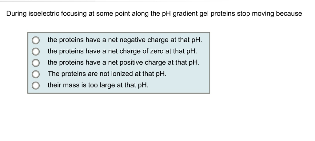 During isoelectric focusing at some point along the pH gradient gel proteins stop moving because
the proteins have a net negative charge at that pH.
the proteins have a net charge of zero at that pH.
the proteins have a net positive charge at that pH.
The proteins are not ionized at that pH.
their mass is too large at that pH.