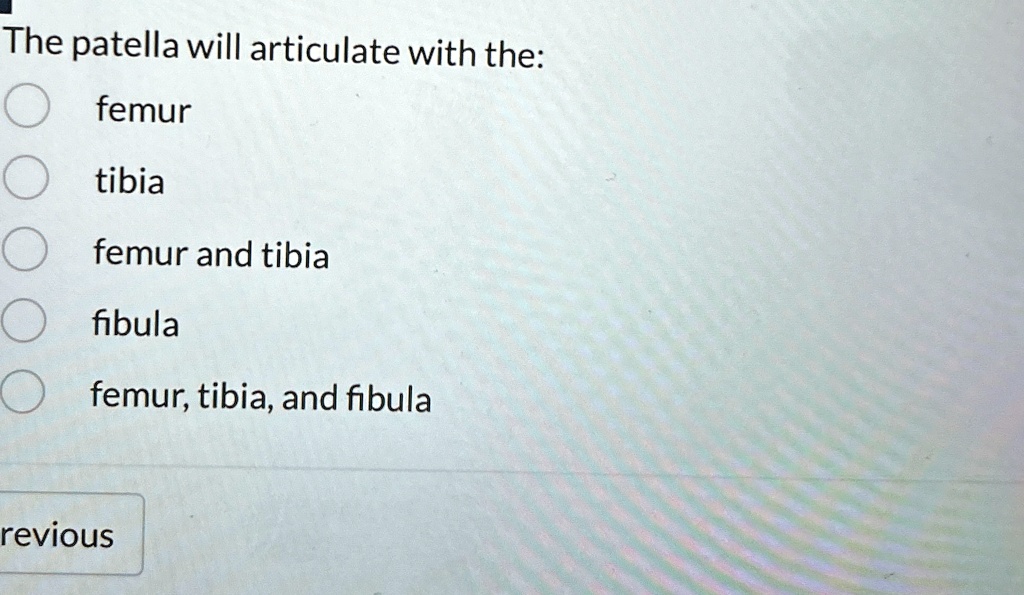 the patella will articulate with the femur tibia femur and tibia fibula ...
