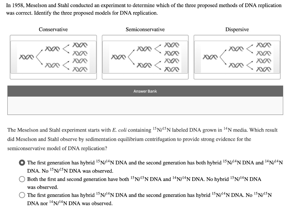 Solved In 1958 Meselson And Stahl Conducted An Experiment To Determine Which Of The Three Proposed Methods Of Dna Replication Was Correcl Identify The Three Proposed Models For Dna Replication Conservative Semiconservative Dispersive