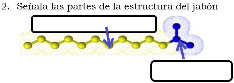 SOLVED: ayúdenme por favor con estos ejercicios 2 Señala las partes de