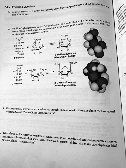 keneralinaion uhoul eabohyuitic crilical thinklng questions nni atignment question nlunc compinc analtr clase of molecule iacly substrate for syuall nakeune erca auna xvur ananven benct auti 92424