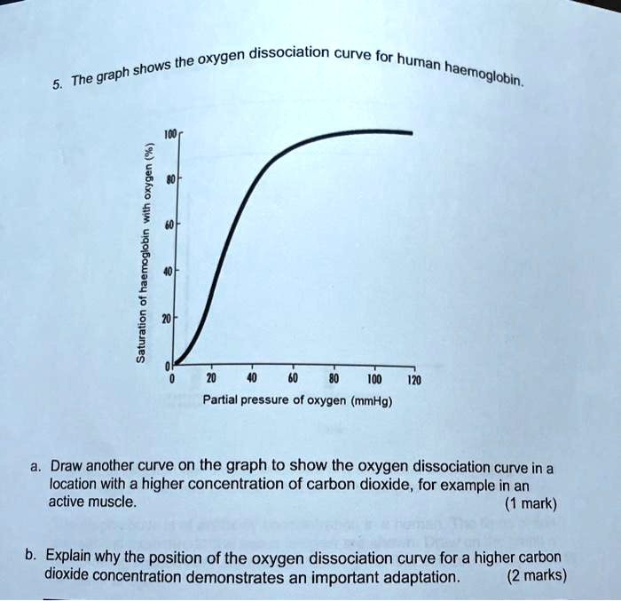 Solved The Oxygen Dissociation Curve For Shows Human The Graph Haemoglobin 2 1 1 1 I Partial