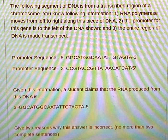 Solved An Rna Polymerase Is Transcribing A Segment Of Dna Or Cheggcom
