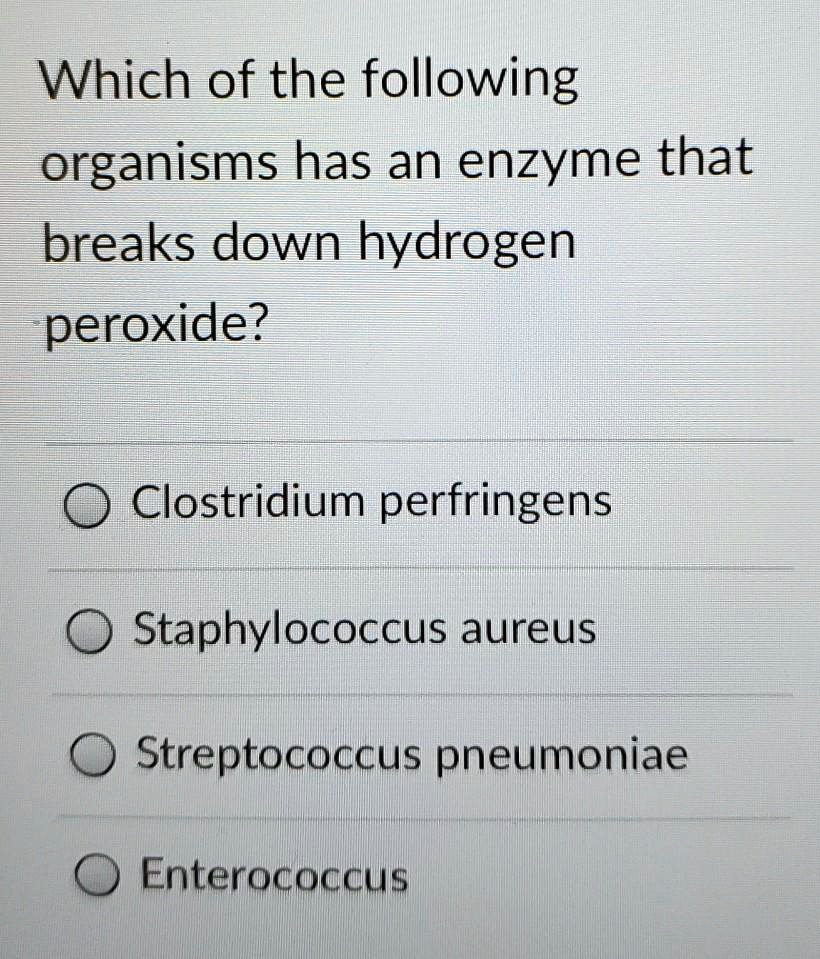 SOLVED Which of the following organisms has an enzyme that breaks down