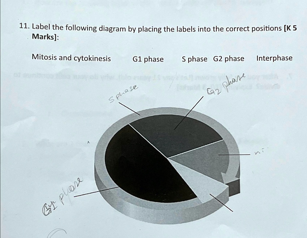 SOLVED: Label the following diagram by placing the labels into the ...