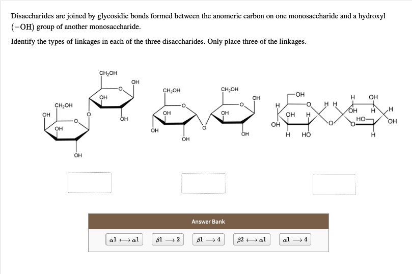 solved-disaccharides-are-joined-by-glycosidic-bonds-formed-between-the