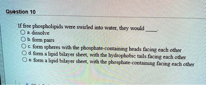 SOLVED: Question 10 f free phospholipids were swirled into water they ...