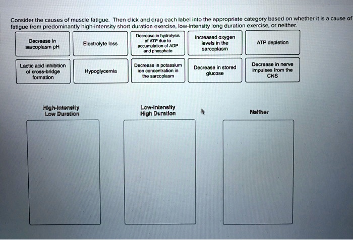 solved-consider-the-causes-of-muscle-fatigue-then-click-and-drag-each