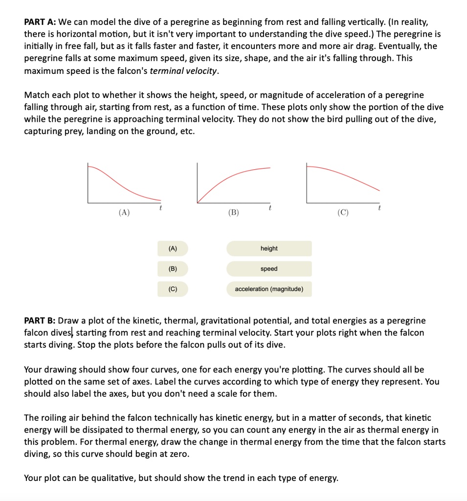 PART A: We can model the dive of a peregrine as beginning from rest and falling vertically. (In reality, there is horizontal motion, but it isn't very important to understanding the dive speed.) The peregrine is initially in free fall, but as it falls faster and faster, it encounters more and more air drag. Eventually, the peregrine falls at some maximum speed, given its size, shape, and the air it's falling through. This maximum speed is the falcon's terminal velocity.

Match each plot to whether it shows the height, speed, or magnitude of acceleration of a peregrine falling through air, starting from rest, as a function of time. These plots only show the portion of the dive while the peregrine is approaching terminal velocity. They do not show the bird pulling out of the dive, capturing prey, landing on the ground, etc.

(A)
height
(B)
speed
(C)
acceleration (magnitude)

PART B: Draw a plot of the kinetic, thermal, gravitational potential, and total energies as a peregrine falcon dives, starting from rest and reaching terminal velocity. Start your plots right when the falcon starts diving. Stop the plots before the falcon pulls out of its dive.

Your drawing should show four curves, one for each energy you're plotting. The curves should all be plotted on the same set of axes. Label the curves according to which type of energy they represent. You should also label the axes, but you don't need a scale for them.

The roiling air behind the falcon technically has kinetic energy, but in a matter of seconds, that kinetic energy will be dissipated to thermal energy, so you can count any energy in the air as thermal energy in this problem. For thermal energy, draw the change in thermal energy from the time that the falcon starts diving, so this curve should begin at zero.

Your plot can be qualitative, but should show the trend in each type of energy.