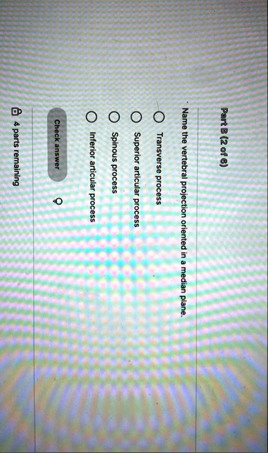 part b 2 of 6 name the vertebral projection oriented in a median plane transverse process superior articular process spinous process inferior articular process check answer 4 parts remaining 43527