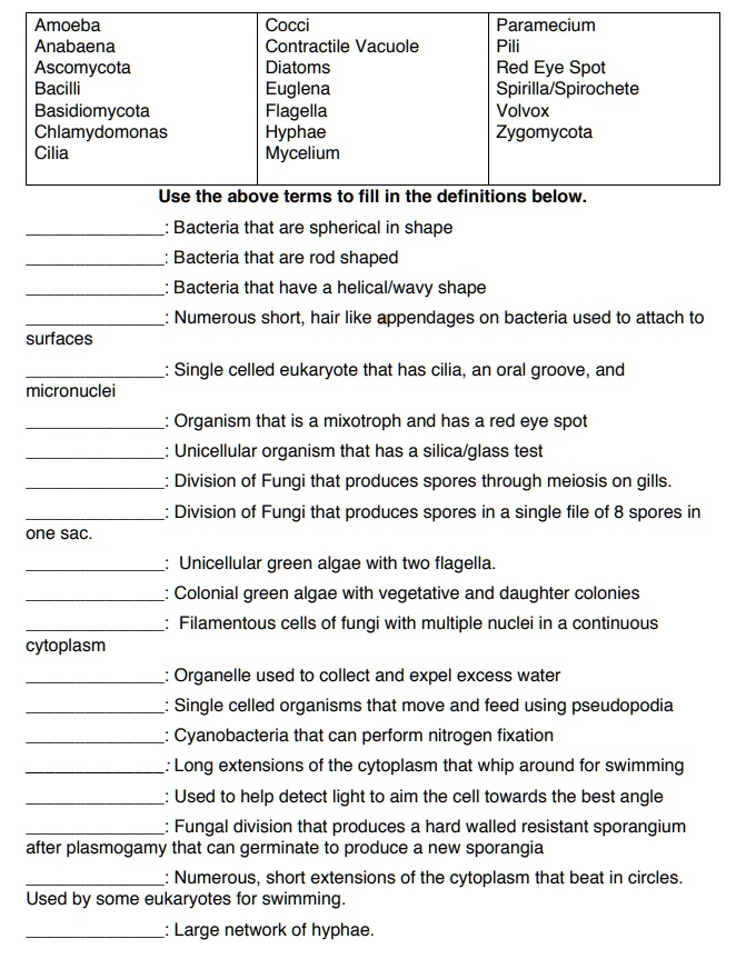 SOLVED: Amoeba, Anabaena, Ascomycota, Bacilli, Basidiomycota ...