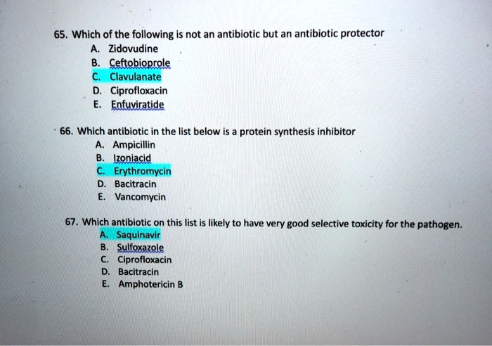 65. Which of the following is not an antibiotic but an antibiotic protector
A. Zidovudine
B. Ceftobioprole
C. Clavulanate
D. Ciprofloxacin
E. Enfuviratide

66. Which antibiotic in the list below is a protein synthesis inhibitor
A. Ampicillin
B. Izoniacid
C. Erythromycin
D. Bacitracin
E. Vancomycin

67. Which antibiotic on this list is likely to have very good selective toxicity for the pathogen.
A. Saquinavir
B. Sulfoxazole
C. Ciprofloxacin
D. Bacitracin
E. Amphotericin B