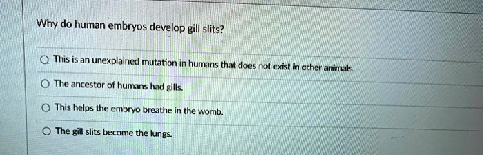humans with gill slits