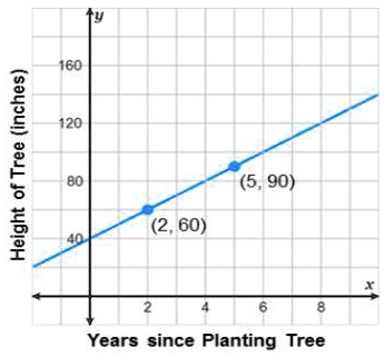 Solved The Graph Shows The Growth Of A Tree With X Representing The Number Of Years Since It Was Planted And Y Representing The Treea S Height In Inches Use The Graph To Analyze