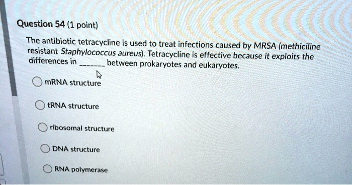 The antibiotic tetracycline is used to treat infections caused by MRSA (methiciline resistant Staphylococcus aureus). Tetracycline is effective because it exploits the differences in  between prokaryotes and eukaryotes.
mRNA structure
tRNA structure
ribosomal structure
DNA structure
RNA polymerase