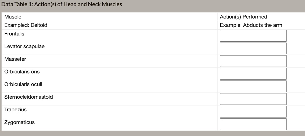 SOLVED Data Table 1 Action s of Head and Neck Muscles Muscle