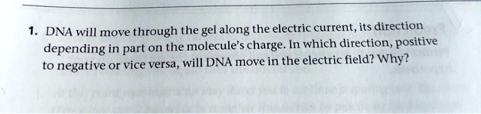 1. DNA will move through the gel along the electric current, its direction depending in part on the molecule's charge. In which direction, positive to negative or vice versa, will DNA move in the electric field? Why?