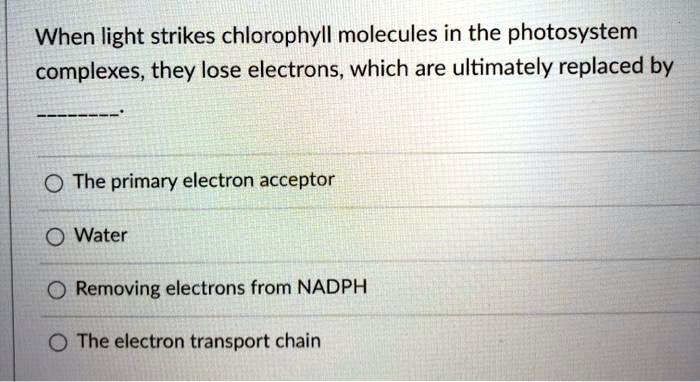 When light strikes chlorophyll molecules in the photosystem complexes, they lose electrons, which are ultimately replaced by

The primary electron acceptor
Water
Removing electrons from NADPH
The electron transport chain