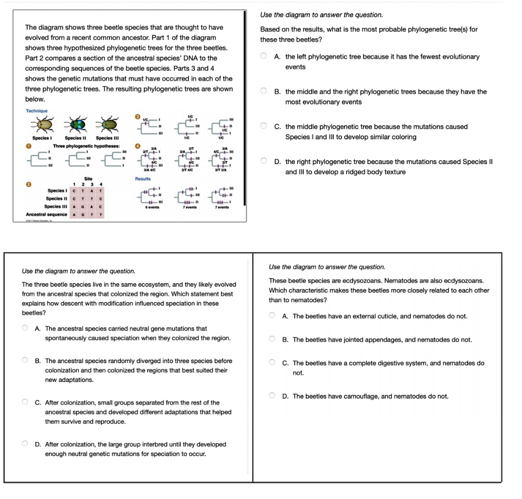 SOLVED: Use the diagram to answer the question: The diagram shows three