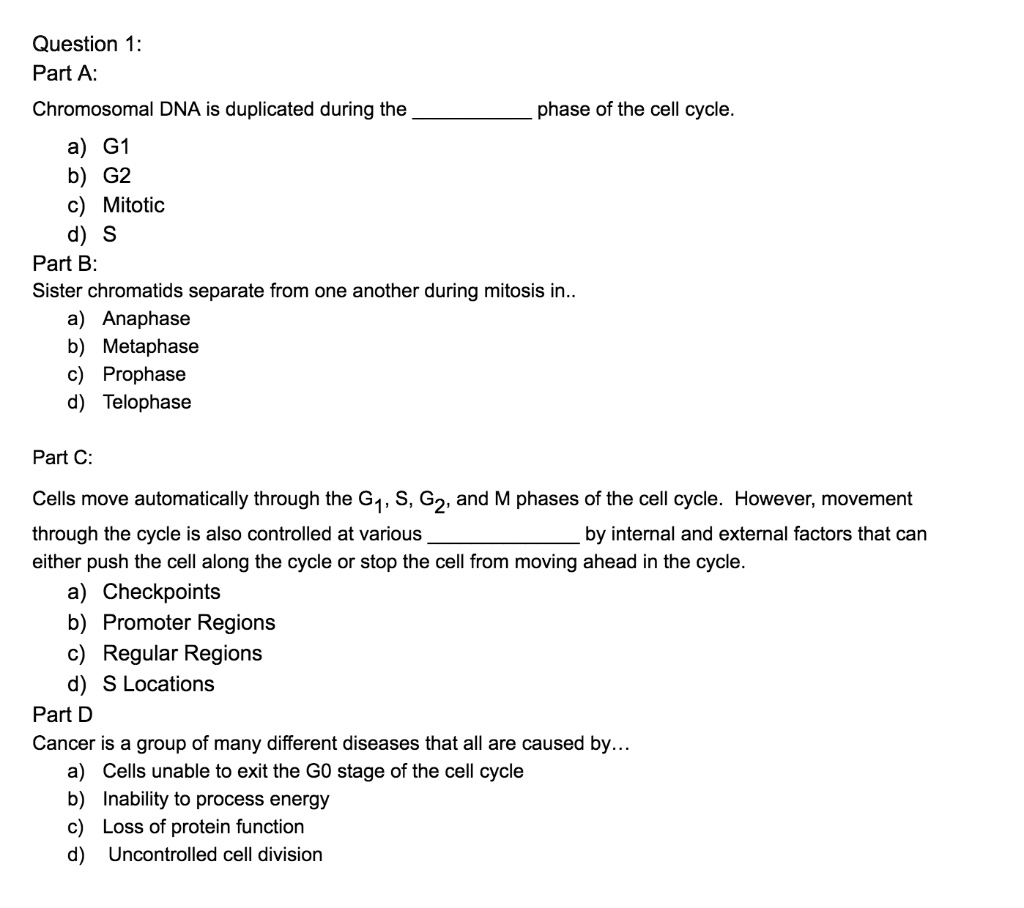 Question 1:
Part A:
Chromosomal DNA is duplicated during the  phase of the cell cycle.
a) G1
b) G2
c) Mitotic
d) S
Part B:
Sister chromatids separate from one another during mitosis in..
a) Anaphase
b) Metaphase
c) Prophase
d) Telophase
Part C:
Cells move automatically through the G1, S, G2, and M phases of the cell cycle. However, movement through the cycle is also controlled at various  by internal and external factors that can either push the cell along the cycle or stop the cell from moving ahead in the cycle.
a) Checkpoints
b) Promoter Regions
c) Regular Regions
d) S Locations
Part D
Cancer is a group of many different diseases that all are caused by...
a) Cells unable to exit the G0 stage of the cell cycle
b) Inability to process energy
c) Loss of protein function
d) Uncontrolled cell division