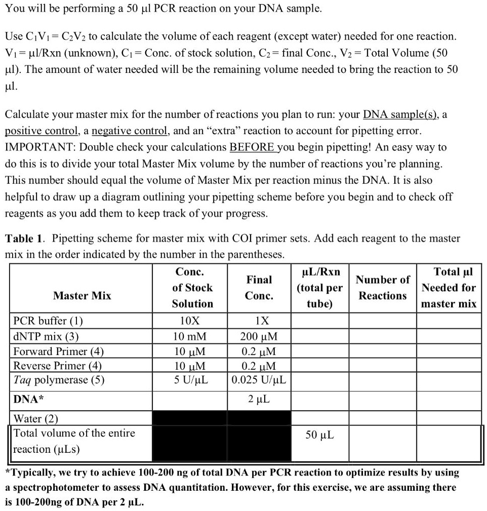 You will be performing a 50 µl PCR reaction on your DNA sample.

Use C1V1 = C2V2 to calculate the volume of each reagent (except water) needed for one reaction. V1 = µl/Rxn (unknown), C1 = Conc. of stock solution, C2 = final Conc., V2 = Total Volume (50 µl). The amount of water needed will be the remaining volume needed to bring the reaction to 50 µl.

Calculate your master mix for the number of reactions you plan to run: your DNA sample(s), a positive control, a negative control, and an “extra” reaction to account for pipetting error. IMPORTANT: Double check your calculations BEFORE you begin pipetting! An easy way to do this is to divide your total Master Mix volume by the number of reactions you’re planning. This number should equal the volume of Master Mix per reaction minus the DNA. It is also helpful to draw up a diagram outlining your pipetting scheme before you begin and to check off reagents as you add them to keep track of your progress.

Table 1. Pipetting scheme for master mix with COI primer sets. Add each reagent to the master mix in the order indicated by the number in the parentheses.

Master Mix | Conc. of Stock Solution | Final Conc. | µL/Rxn (total per tube) | Number of Reactions | Total µl Needed for master mix
PCR buffer (1) | 10X | 1X | | |
dNTP mix (3) | 10 mM | 200 µM | | |
Forward Primer (4) | 10 µM | 0.2 µM | | |
Reverse Primer (4) | 10 µM | 0.2 µM | | |
Taq polymerase (5) | 5 U/µL | 0.025 U/µL | | |
DNA* | | 2 µL | | |
Water (2) | | | | |
Total volume of the entire reaction (µLs) | | | 50 µL | |

*Typically, we try to achieve 100-200 ng of total DNA per PCR reaction to optimize results by using a spectrophotometer to assess DNA quantitation. However, for this exercise, we are assuming there is 100-200ng of DNA per 2 µL.